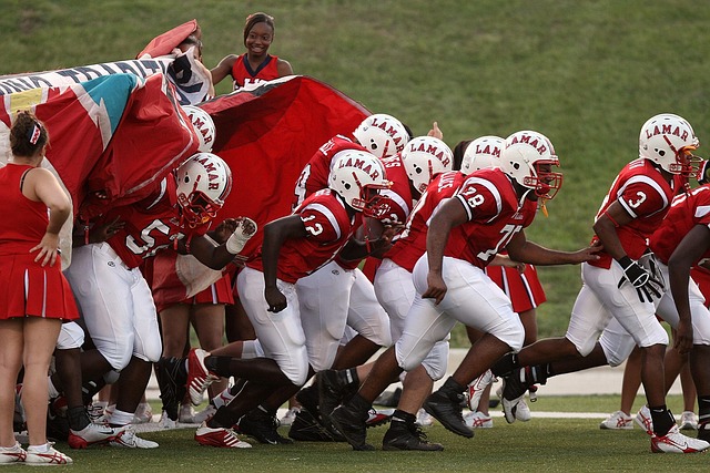 便能绽放光 便能绽放光