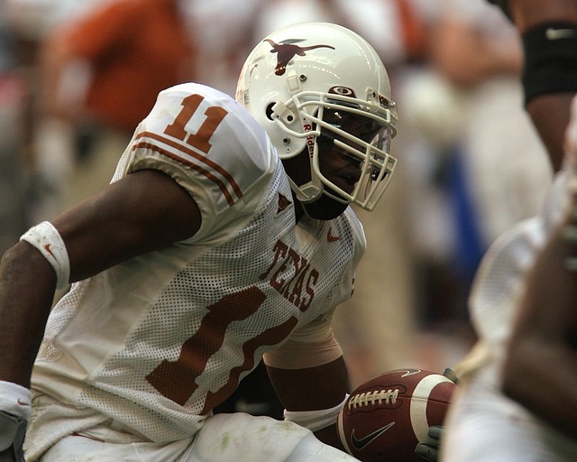 职业成就 职业成就